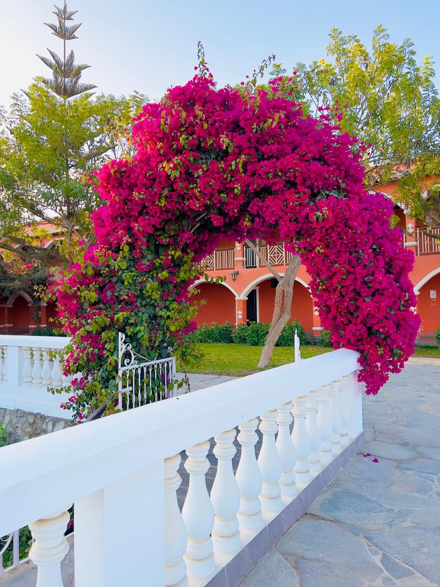 Hacienda San Juan Resort San Juan Bautista Ngoại thất bức ảnh